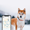 Tractive GPS DOG 4 LTE tracker - [otvorený]