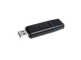 Kingston 64GB USB3.2 DataTraveler Exodia memorija (DTX/64GB)
