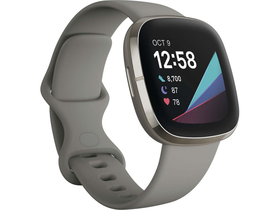 Fitbit Sense smart hodinky, šedé/šedé, oceľ