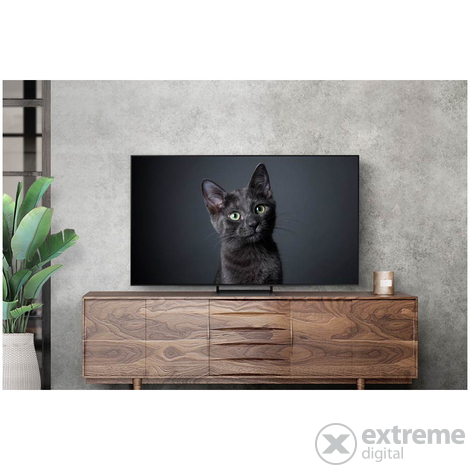 Samsung QE55S90CATXXH Smart OLED TV, 138 cm, 4K, Ultra HD